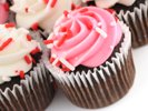 Cupcake Recipes